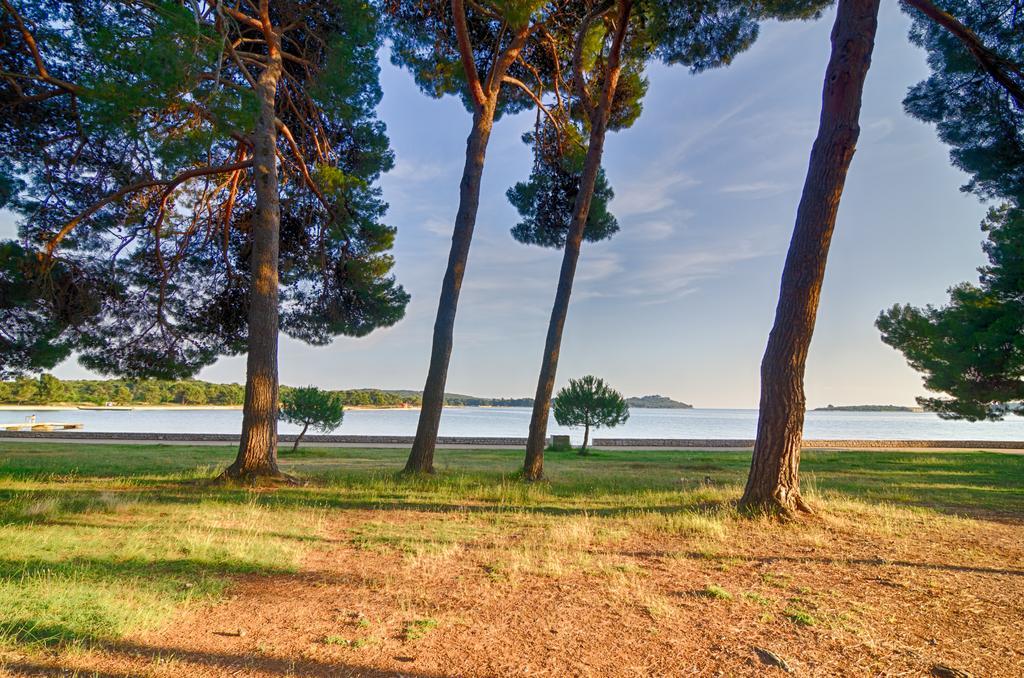 Apartment Tesic Close To The Sea With Shared 4Xbicycles 法扎纳 外观 照片